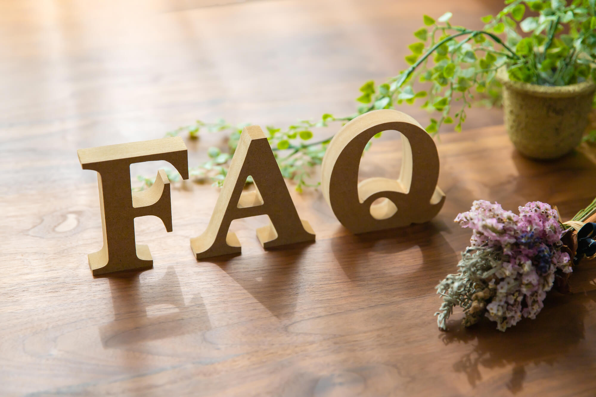 ミニチュアダックスについてよくある質問